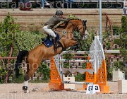 COATA S CANNAVARO CampITA2013- S5 0120 : CANNAVARO 17, COATA SIMNONE, Campionati Italiani 2013, Cattolica, Horse Riviera Resort, foto di Stefano Secchi ©